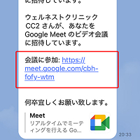 STEP 3.ビデオ/ テスト通話（ビデオ通話が繋がらない場合は、メッセージ内のURLから参加してください。）