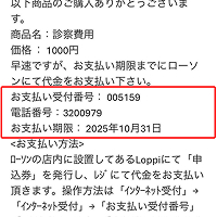 STEP 6.入金の確認までに60分〜240分のタイムラグが発生する可能性がございます